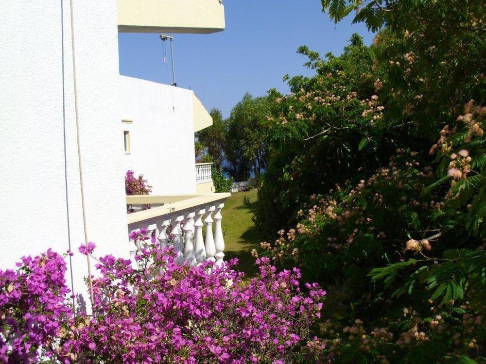 Helgas Paradise Hotell Afantou